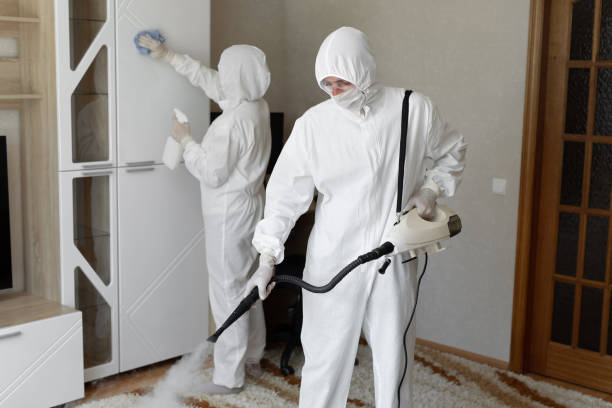 Mold Removal Process in West Carthage, NY